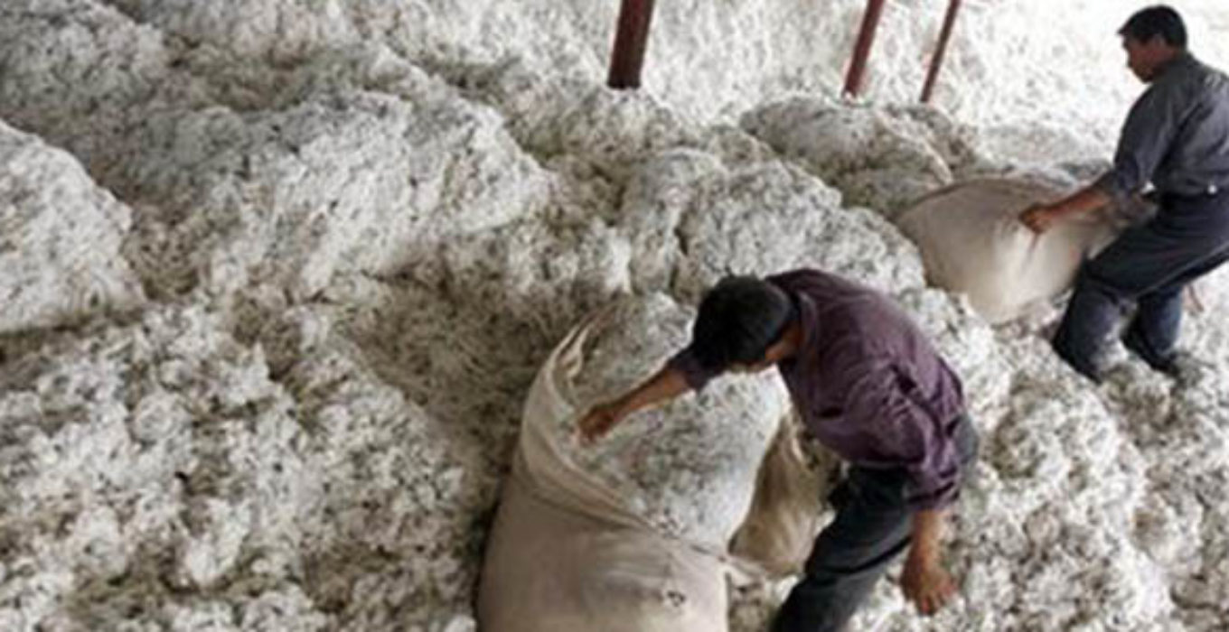 Арилжааны 90 гаруй хувийг ноос бүрдүүлэв - Mongolia Trade